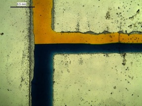 (Detail) A microfluidic device illustrates laminar flow"
