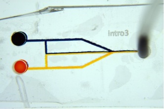 A microfluidic device illustrates laminar flow