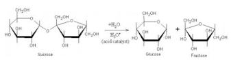 transfondo fig 1