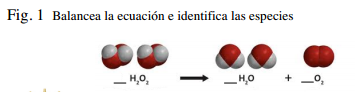 Balancea la ecuación e identifica las especies