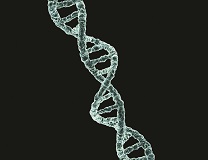 DNA