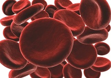 Red Blood Cells