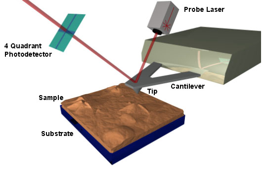 Atomic Force Microscope Diagram