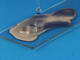 Water drops bead up on a monolayer surface