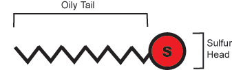 Alkanethiol Diagram