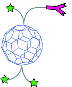 Carbon Bio