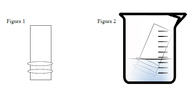 Figure 1 and Figure 2