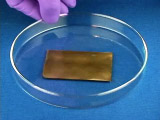 Micro fluidic nanofiliter in petri dish, held by gloved hand