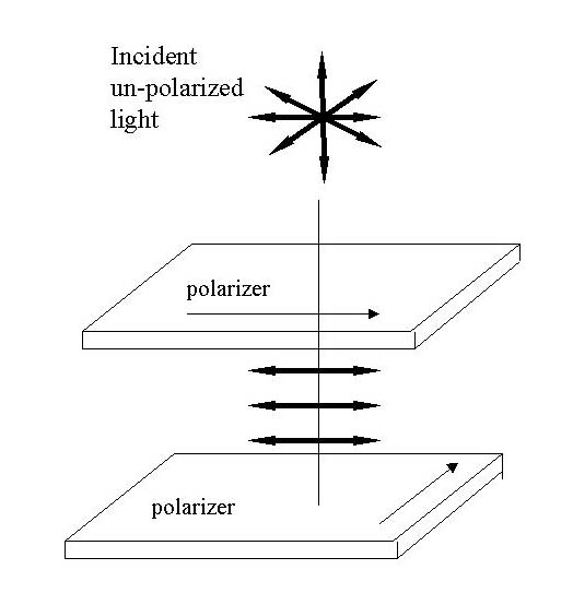 Liquid Crystal Diagram