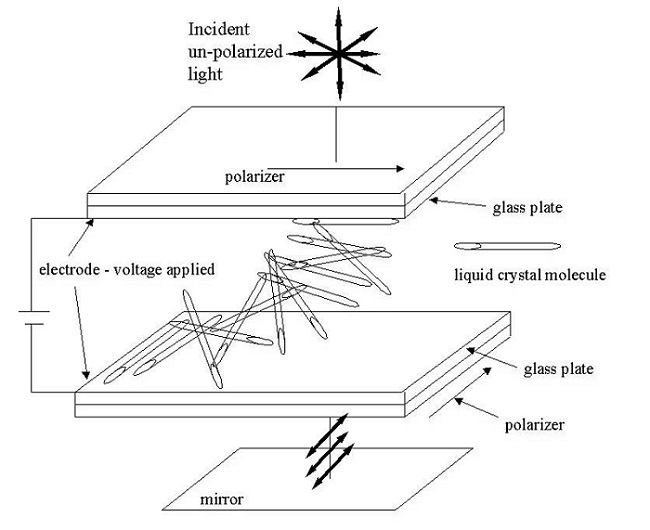 Liquid Crystal Diagram