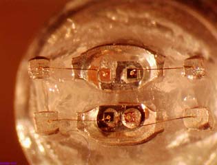 LEDs Microscope View