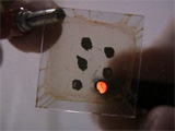 LED on thin plastic film. 6 nodes, one lit up orange