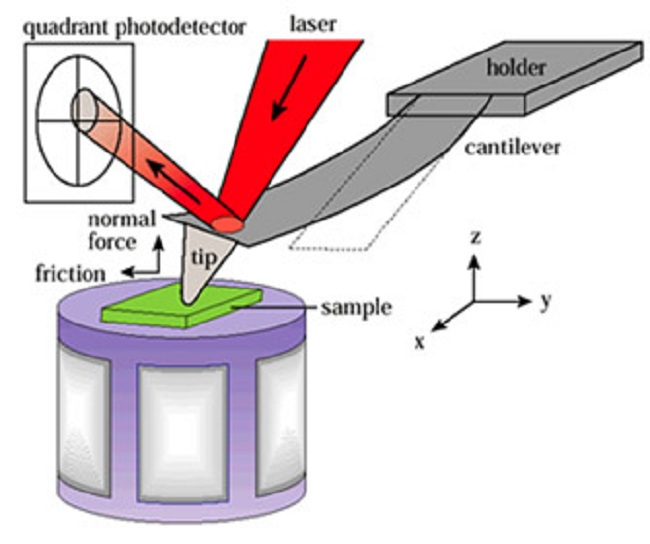 Atomic Force Microscope Diagram