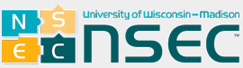 NSE Logo