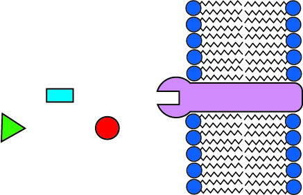 Sensing Diagram