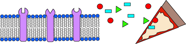 Sensing Diagram