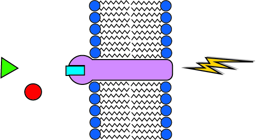 Sensing Diagram