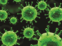 Virus