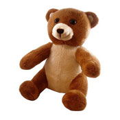 Benny the Bear plush toy