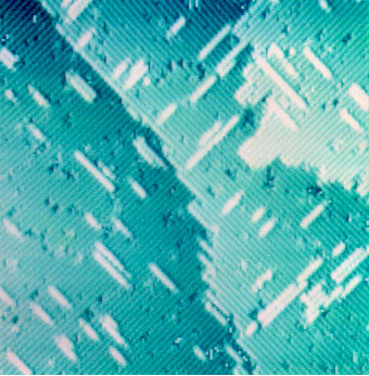 Surface of Silicon