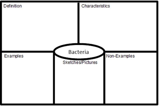 Diagram of note catcher for students to use to define and describe bacteria