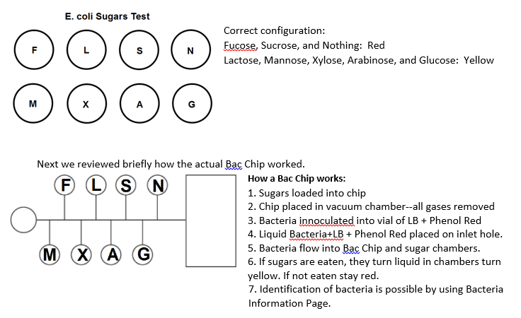 Image showing Bac chip configuration