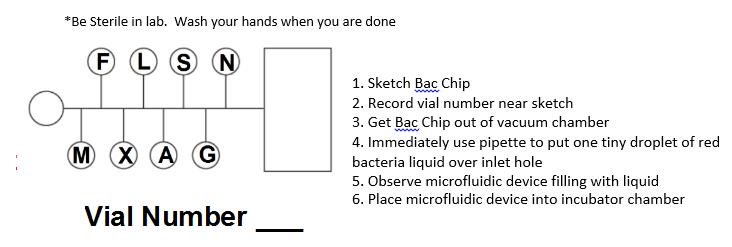 Sketch diagram of bac orientation