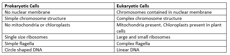 Two column, 7 row chart that compares prokaryotic and eukaryotic cells. 
