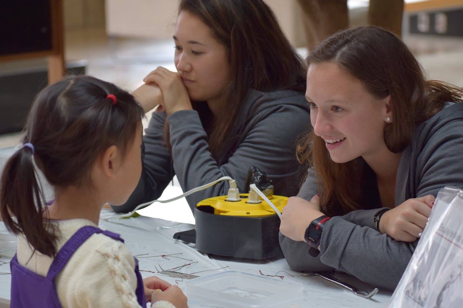 a volunteer interacts with a visitor at an outreach event