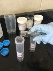 An RET participant performs an experiment