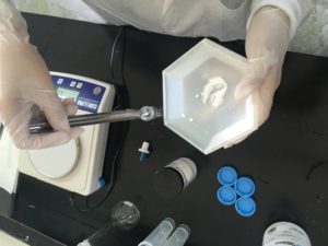 An RET participant performs an experiment