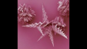 nanowires