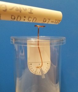 a PVC pipe above the coil of the electroscope induces an electric charge in the foil leaves that are now separated