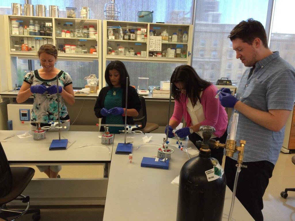 RET fellows work on a lab activity