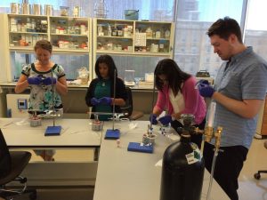 RET fellows work on a lab activity