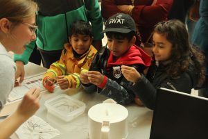 Having fun at the Science Festival