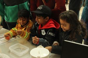 Having fun at the Science Festival