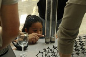 Wonder at the Science Festival