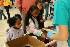 Screen printing at the Science Festival