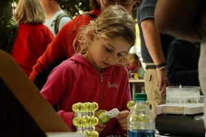 Making crystal unit cells at the Science Festival