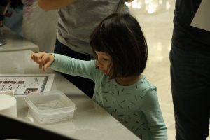Wonder at the Science Festival