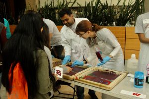 MRSEC volunteers at the WI Science Festival