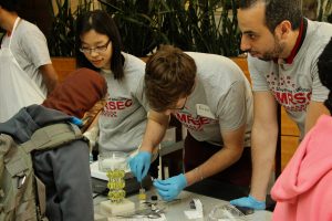 MRSEC volunteers at the WI Science Festival