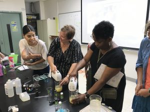 Teachers share their activities as part of the 2019 RET