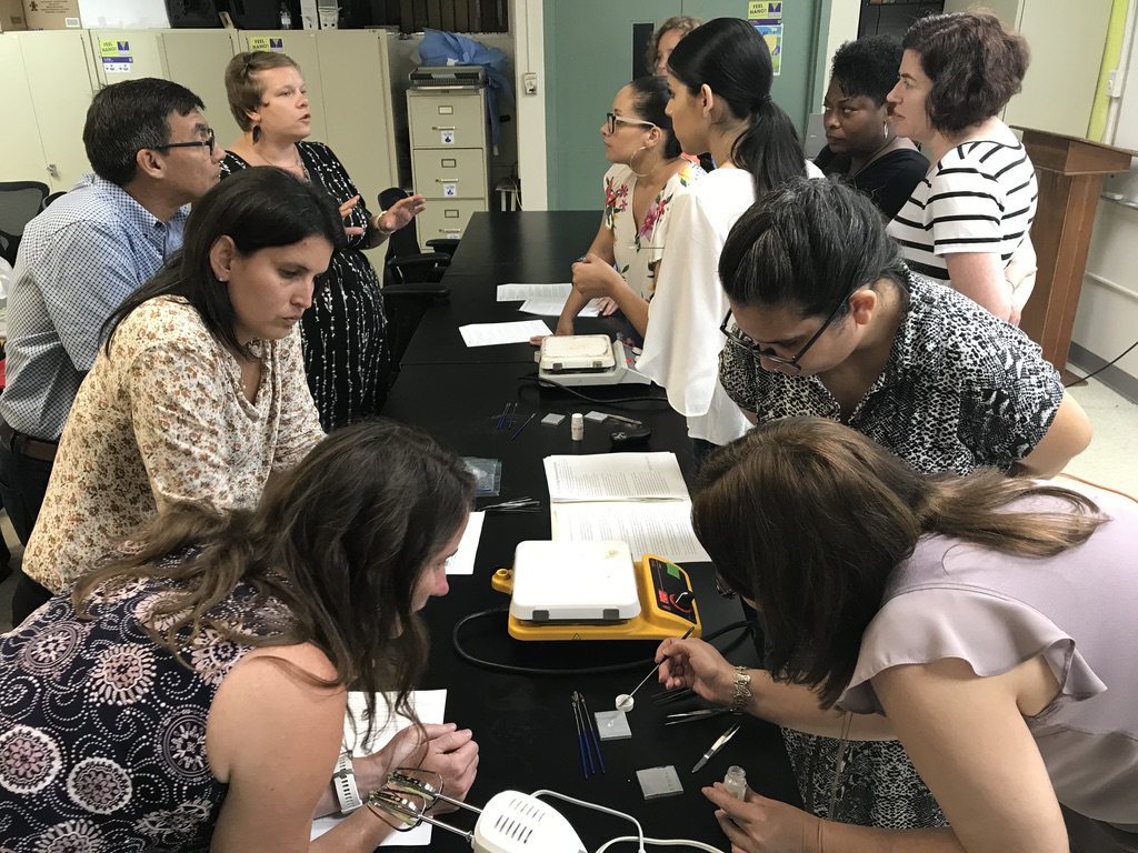 Teachers share their activities as part of the 2019 RET