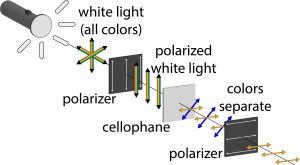 White light from a flashlight becomes polarized, then passes through cellophane. Cellophane acts as a half wave plate, causing the colors to phase shift, with the second polarizer allow only colors aligned with it through.