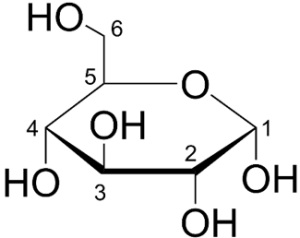 Glucose molecule